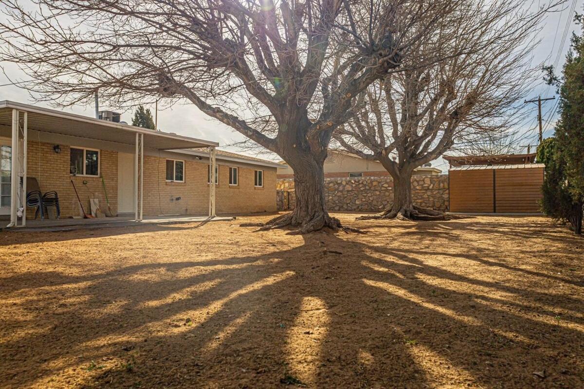 Mid-century, Traditional Near Airport