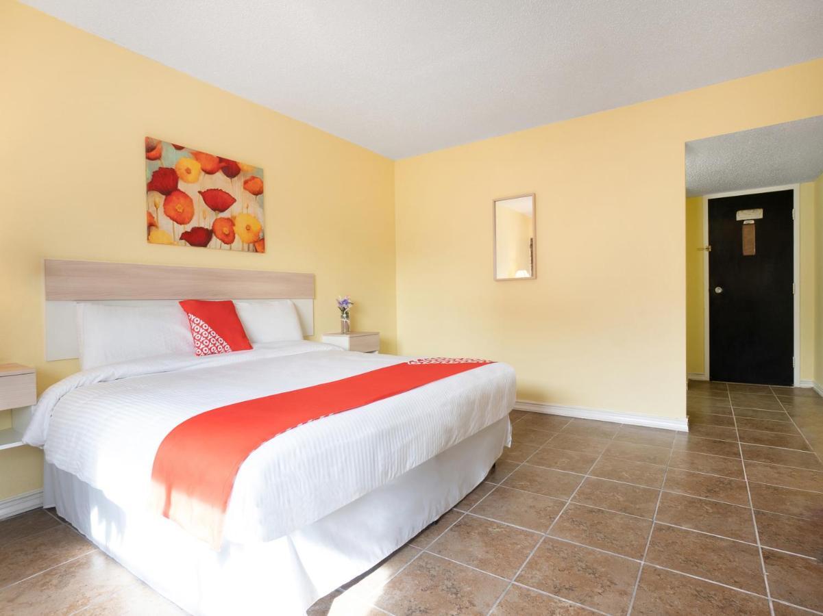 Oyo - University - 2 Mi From Las Palmas Medical Center Hotel 2*